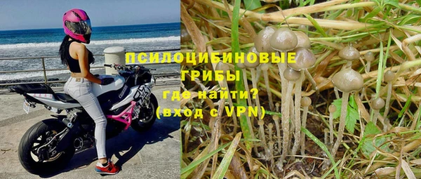 a pvp Инта