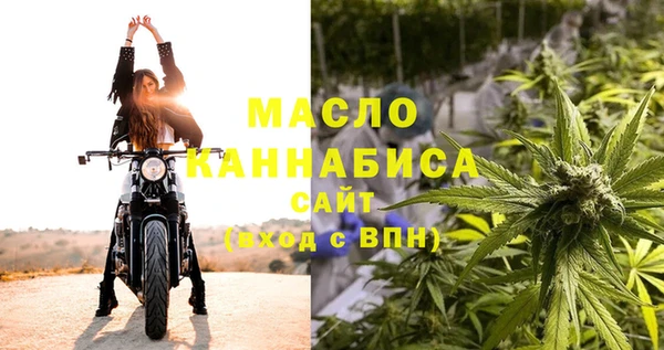 гидра Зеленодольск