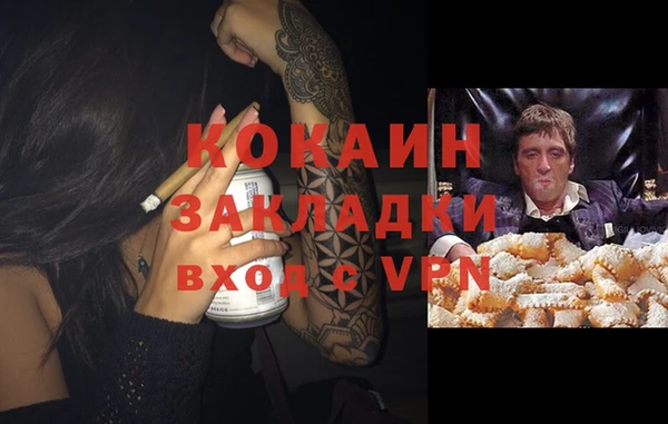 PSILOCYBIN Каменск-Шахтинский