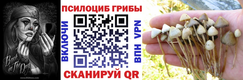Псилоцибиновые грибы MAGIC MUSHROOMS  гидра рабочий сайт  Ишимбай 