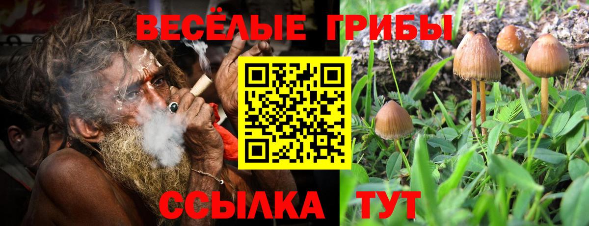 Псилоцибиновые грибы мухоморы Ишимбай