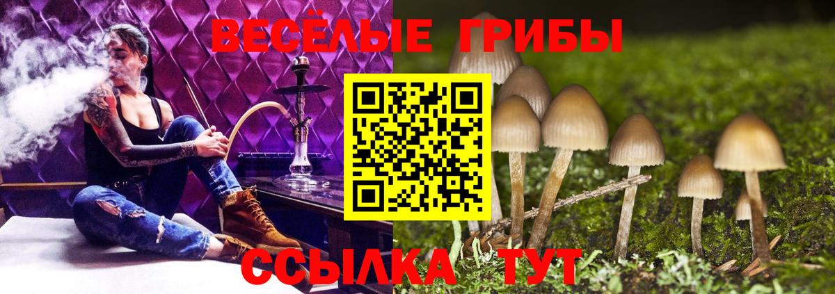 Ишимбай  Псилоцибиновые грибы мухоморы  Псилоцибиновые грибы мицелий  купить наркоту  Вход с VPN 